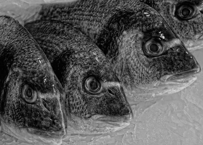 Prázdninový dům Casa De *